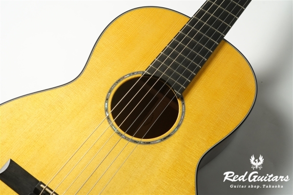 00-Nylon w/FISHMAN Matrix VT Enhance